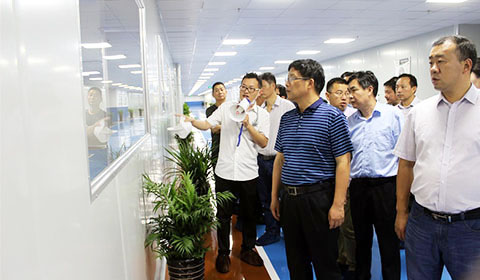 Major leaders of towns in Lujiang County visited our company for investigation